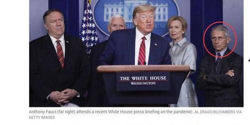 白宫疫情最新爆料,揭秘疫情真相与应对策略”