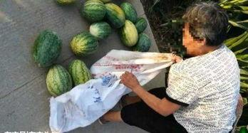 介休吃瓜最新事件爆料,揭秘背后惊人真相